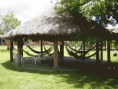 /album/galeria-de-fotos/redario-gif/